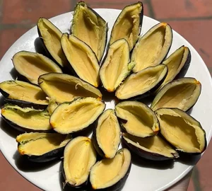 Traditional Survival Fruit Now Valued as Lucrative Black Gold - image 6