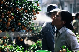 Nostalgic Photos of Vietnamese Lunar New Year Tet 50 Years Ago - image 1