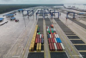 Inside Dong Nai's Largest Seaport: A New Hub for Regional Trade - image 11