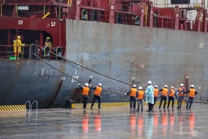Inside Dong Nai's Largest Seaport: A New Hub for Regional Trade - image 4