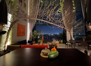 Inside Diva Hồng Nhung’s Luxury Penthouse: A Perfect Blend of Art and Music - image 4