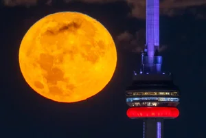 A Breathtaking Visual Journey Capturing the Magic of the Global Super Blue Moon - image 4