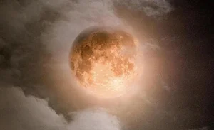 A Breathtaking Visual Journey Capturing the Magic of the Global Super Blue Moon - image 5