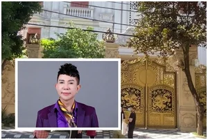 Inside the Luxurious Castle-Like Mansion of Singer Long Nhat - image 5