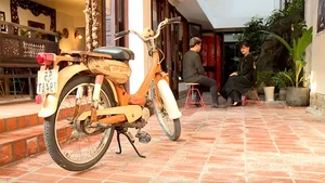Inside the Private Sanctuary of Trinh Cong Son: A Journey Through a Musical Legend’s Home - image 6