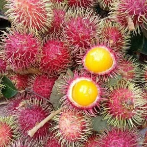 Exotic Yellow Rambutan: The Rare Tropical Fruit Captivating Food Lovers - image 4
