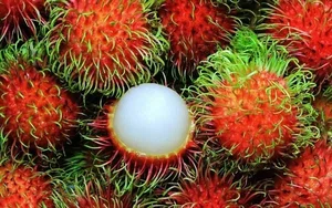 Exotic Yellow Rambutan: The Rare Tropical Fruit Captivating Food Lovers - image 2