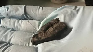 The 10,000-Year-Old Mystery of a Teenage Girl and Her Ancient Chewing Gum Discovered by Archaeologists - image 8