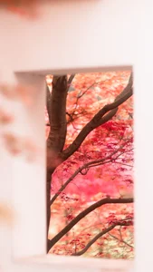 Stunning Fashion Photography: YiTuYu Art Language Vol.4189 Su Su - image 28