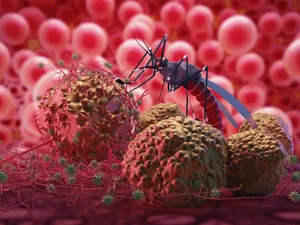 The Deadliest Animals: Which Creatures Pose the Greatest Threat to Humans? - image 2