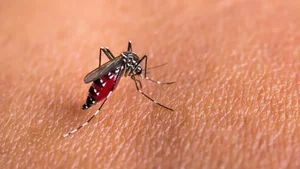 The Deadliest Animals: Which Creatures Pose the Greatest Threat to Humans? - image 3