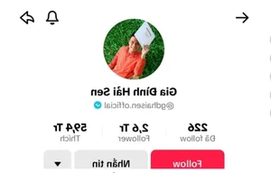 Who is the TikTok Creator Behind 'Gia Dinh Hai Sen' Following Recent Arrest? - image 3