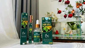 Who is the TikTok Creator Behind 'Gia Dinh Hai Sen' Following Recent Arrest? - image 0