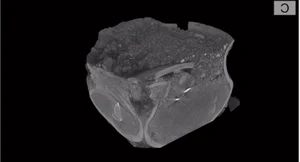 LiDAR Technology Uncovers Mysterious Ancient Treasures Hidden on a Solitary Hill - image 5