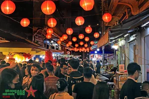 Ho Chi Minh City Comes Alive with Vibrant Mid-Autumn Festival Celebrations - image 8