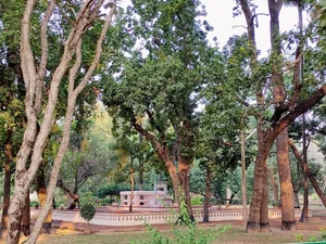 Exploring the World-Famous Historic Quarter Steeped in Indian Cultural Essence - image 5