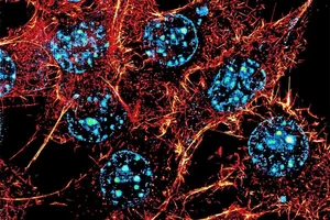 Revolutionary Breakthrough: Scientists Create Microscopic Logic Circuits Inside Human Cells - image 1