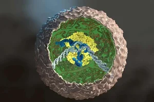 Revolutionary Breakthrough: Scientists Create Microscopic Logic Circuits Inside Human Cells - image 0