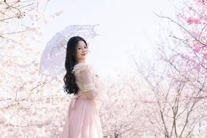 YiTuYu Art Language Vol. 6779 - Cheng Zi Shu Collection - image 6