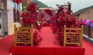 The Missing Groom and the Bride’s Horrifying Wedding Night Secret - image 6