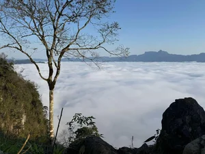 Chasing Clouds and Sunrises at Pa Phach Peak in Moc Chau: Travel Guide - image 9