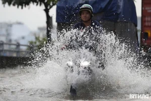 Urban Waterscape: Ho Chi Minh City Navigates Record-Breaking High Tides - image 4
