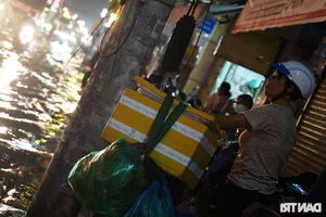 Urban Waterscape: Ho Chi Minh City Navigates Record-Breaking High Tides - image 9