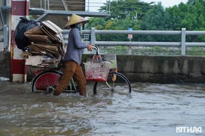 Urban Waterscape: Ho Chi Minh City Navigates Record-Breaking High Tides - image 6