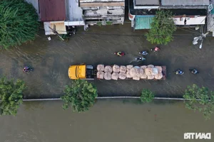 Urban Waterscape: Ho Chi Minh City Navigates Record-Breaking High Tides - image 0