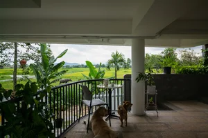 Innovative Flood-Resistant Architecture in Da Nang: The 'Open Bottom' Rural Sanctuary by Hinzstudio - image 1