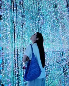Vietnamese Celebrities Embrace the 'Quiet Luxury' Handbag Trend - image 5