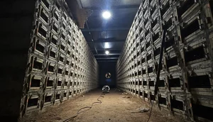 How a Poor Rural Village Struck Gold Breeding Hissing Snakes for Wealth - image 5