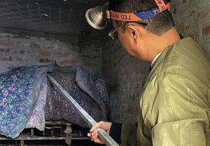 How a Poor Rural Village Struck Gold Breeding Hissing Snakes for Wealth - image 2