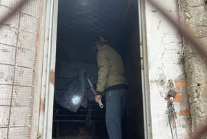 How a Poor Rural Village Struck Gold Breeding Hissing Snakes for Wealth - image 4