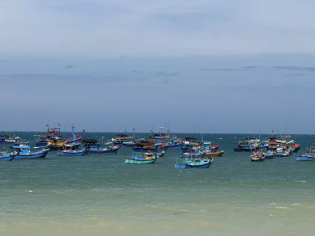 Son Hai Fishing Village: A Pristine Coastal Escape Between Mountains and Sea