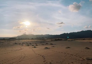 Son Hai Fishing Village: A Pristine Coastal Escape Between Mountains and Sea - image 9