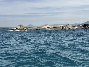 Son Hai Fishing Village: A Pristine Coastal Escape Between Mountains and Sea - image 3