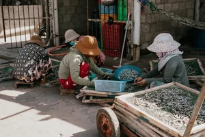Son Hai Fishing Village: A Pristine Coastal Escape Between Mountains and Sea - image 4