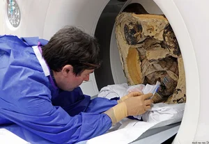 Secrets Revealed: The Fascinating CT Scan of a 1,000-Year-Old Mummified Buddha Statue - image 4