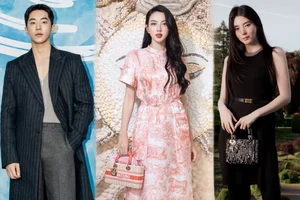 Dior’s Strategy with Asian Ambassadors: Analyzing the Thuy Tien Controversy and Brand Management - image 9