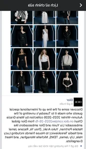 Dior’s Strategy with Asian Ambassadors: Analyzing the Thuy Tien Controversy and Brand Management - image 5
