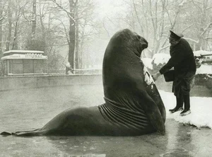 The Most Expensive and Mind-Boggling Historical Photos Ever Taken - image 9
