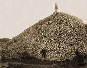 The Most Expensive and Mind-Boggling Historical Photos Ever Taken - image 0