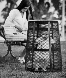 The Most Expensive and Mind-Boggling Historical Photos Ever Taken - image 5