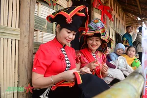 Experience the 2025 Cherry Blossom Festival in Dien Bien Phu: A Celebration of Nature and Culture - image 3