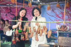 Experience the 2025 Cherry Blossom Festival in Dien Bien Phu: A Celebration of Nature and Culture - image 2