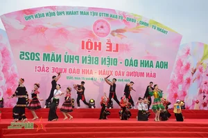 Experience the 2025 Cherry Blossom Festival in Dien Bien Phu: A Celebration of Nature and Culture - image 7