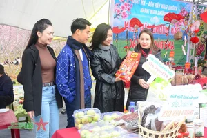 Experience the 2025 Cherry Blossom Festival in Dien Bien Phu: A Celebration of Nature and Culture - image 6