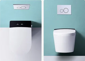 Review: Kazoshi 301 White Smart Wall-Hung Toilet for Modern Bathrooms - image 3