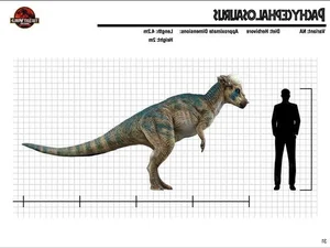 The Mysterious 'Stubborn' Dinosaur: A 25cm Thick Skull Revealed - image 1